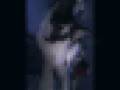 mon filou .wmv