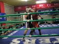 Jeremie Besson Golden Gloves 25-11-06 Heerlen ronde 3