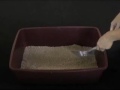 Biddy Cat Litter Box Biddy Cat Litter Box