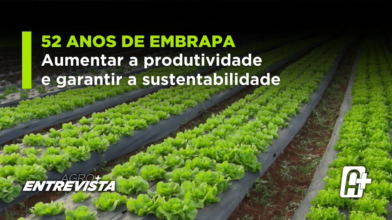 O Desafio da Embrapa aos 52 anos: Amentar a Produtividade e Garantir a Sustentaabilidade.