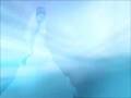 The Bride Video Animation
