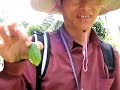 Akha Trekking in Northern Thailand