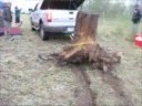 Truck assisted wood gathering for bonfire