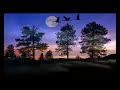 nocturne – Chopin.mp4