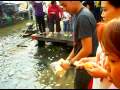 SDC10022.AVI