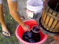 vino casero de Merlo