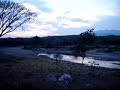 Rancho Bellavista zona de riego para forrajes
