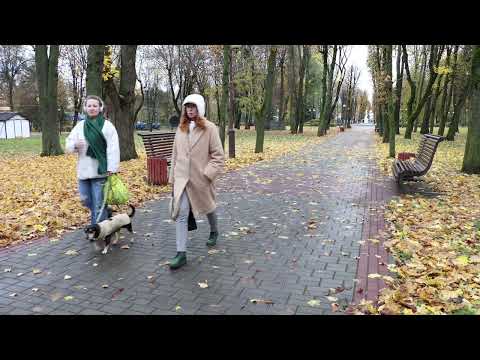 Барановичи день за днем. 01.12.25.