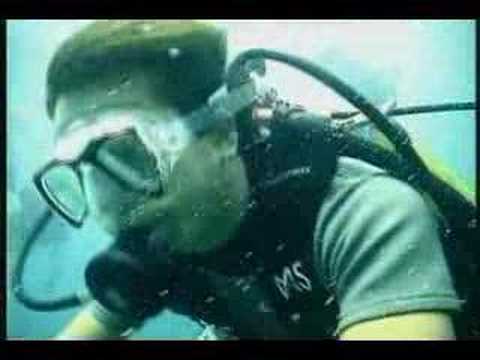 Diving Scene 2, the champion