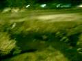videos de altagracia de orituco- jodas