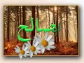 کلیپ مداحی به مناسبت نیمه شعبان ولادت حضرت مهدی عجتهیه و تدوین کانون اسلامی انصارwww.kanoon-ansar.net