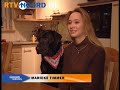 Leerlinge AOC Terra levert hulphond af