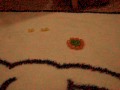 Michael's Mitosis Model.wmv