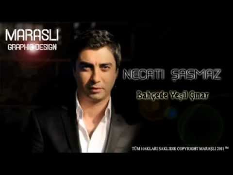 necati sasmaz