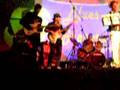 Mary had a little lamb By Blues Bracers
