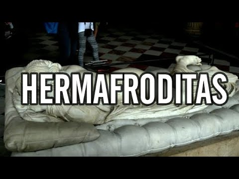 hermafroditas - El hermafroditismo es un término de la biología y zoología, con el cual se designa a los organismos que poseen a la vez órganos reproductivos usualmente asoc...