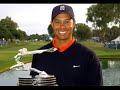 tiger woods tribute