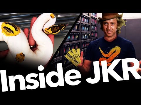 YouTube reptile video