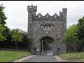 Dublin Pt. 2
