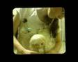 Thumbnail of video Me through the viewfinder