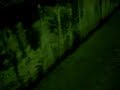 Túnel terrorífico en Donostia-San Sebastián