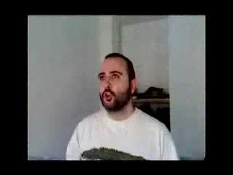 Imagen de previsualización de YouTube