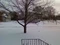 Snow Day