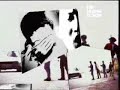 beyond-amani.html