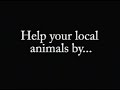 Chirophobia - Preston County Animal Shelter