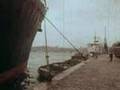 Origin & History of Opium & Its Derivatives Anti-Drug Video