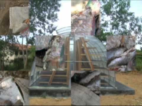 Solar Fish Drier