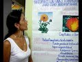 USO ADECUADO DE LA CALENDULA -SANDRA ROCIO GARAVITO -CEAD BUCARAMANGA
