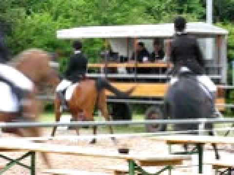 E-Dressur Beiersdorfer 2009 Teil I