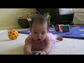 Kit crawling Kit crawling