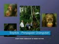 Sandakan, Sabah - Eastern Malaysia