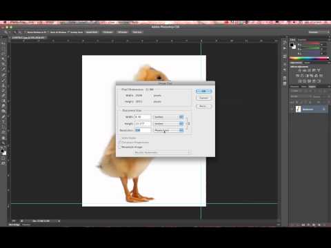 how to set px in photoshop