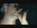 clip video Rammstein Tier