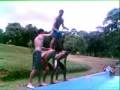 barrigadas