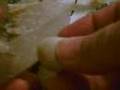 Triboluminescence in Quartz Crystal