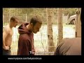 Babylon circus trailer Babylon circus trailer
