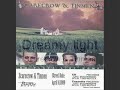 Dreamy light - Scarecrow & Tinmen.wmv