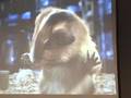 Super Bowl XLI Ad Review Pt 1: SF American Marketing Assn.