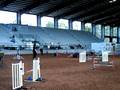 videos de Windi & Border Collie Star Agility Pals and Paws