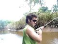 Andy saca tarucha