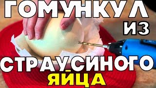 Гомункул как сделать ютуб Гомункул как сделать ютуб