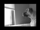 February TVC - Happy Valentines Day