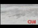 Cnn Ernesto Live