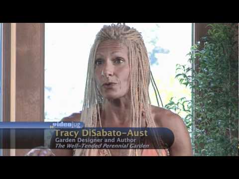 how to fertilize cyclamen