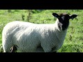 120 Megapixel Northumberland 60 X 1080p