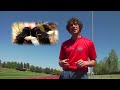 Watch 'Field Test: Vibram Five Fingers'